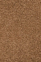 Ковролин AW Invictus Romelus 82 фото 1 | FLOORDEALER